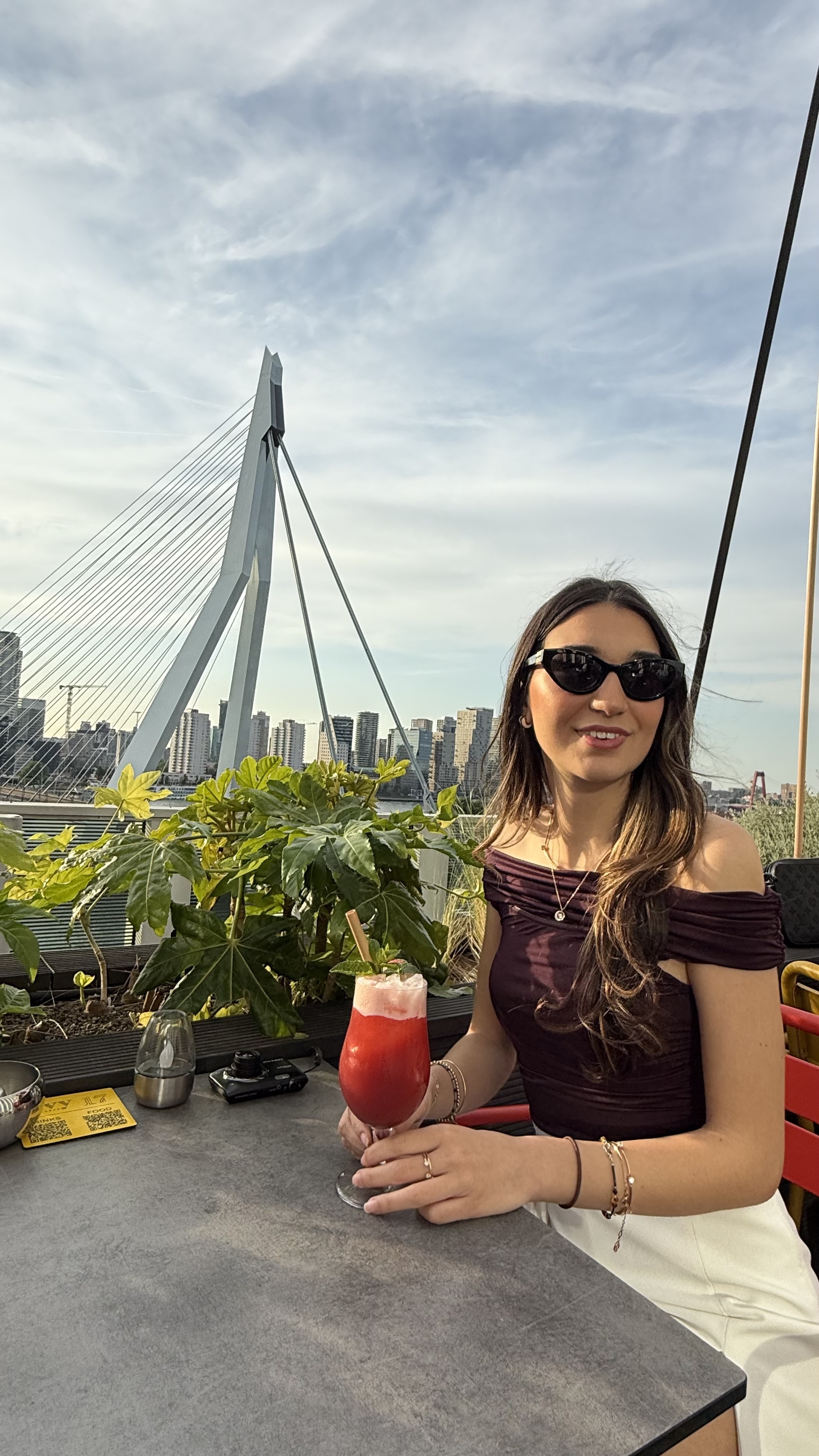 Rotterdam, Erasmus Bridge